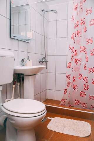 Гостевой дом Vila Dragomirna Сучава Двухместный номер с 1 кроватью и собственной ванной комнатой-4